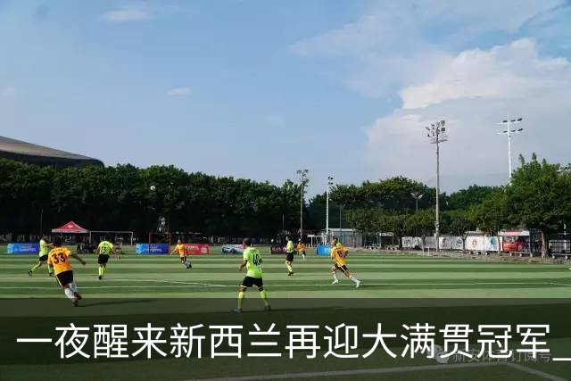 一夜醒来新西兰再迎大满贯冠军 各方盛赞福克斯