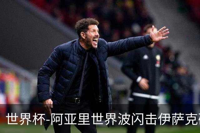 世界杯-阿亚里世界波闪击伊萨克破门 半场瑞典2-1突尼斯
