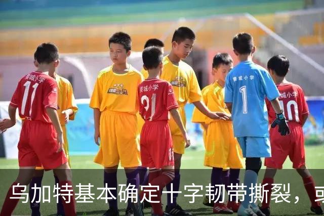 乌加特基本确定十字韧带撕裂，或迫使曼联买人！若伤缺一年可获赔500万