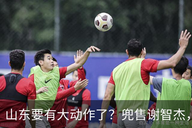 山东要有大动作了？兜售谢智杰，刘毅或离队，尽力补强一号位！