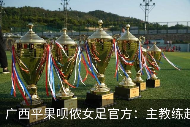 广西平果呗侬女足官方：主教练赵岩及教练团队不再担任相关职务