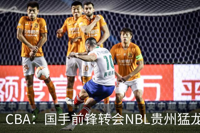 CBA：国手前锋转会NBL贵州猛龙，王少杰前往江苏男篮，吉林大将签约宁波，胡金秋预计留队
