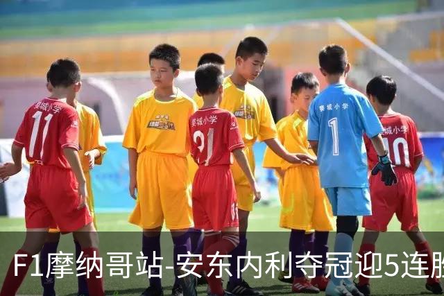 F1摩纳哥站-安东内利夺冠迎5连胜 维斯塔潘诺里斯乐扣退赛
